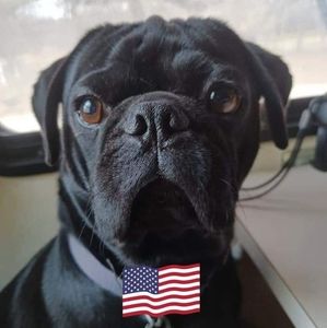 Meet your Posher, Caviness